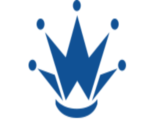 Business Womens Link