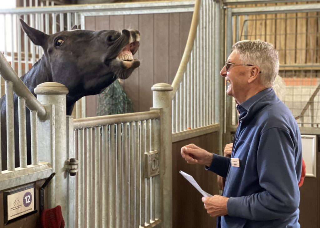 Business Womens Link